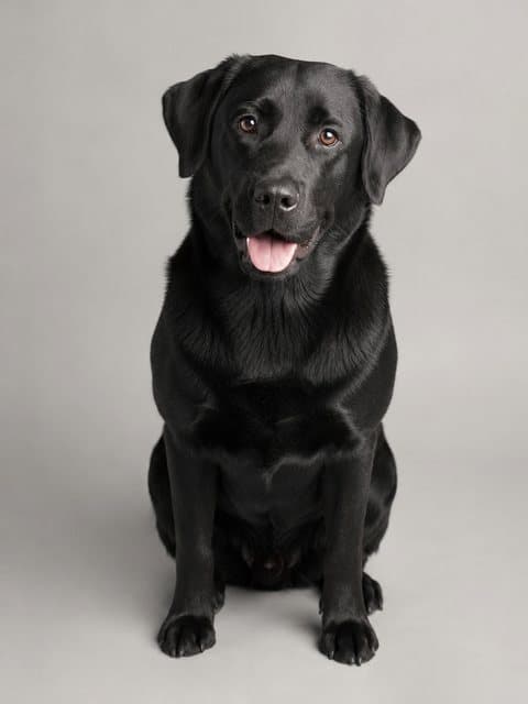 Photo of Pepper